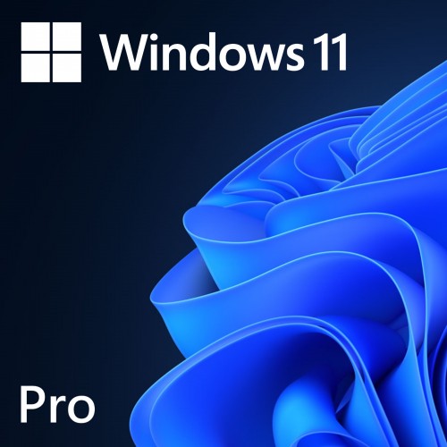 Microsoft Windows 11 Professional 64 Bit ENG